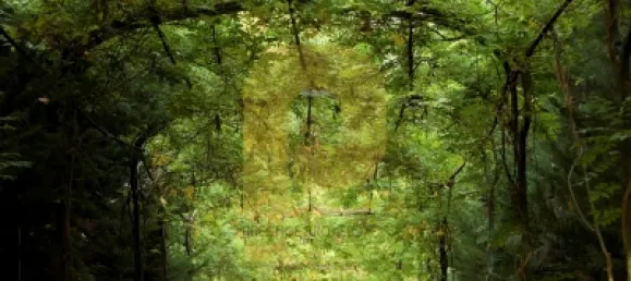 Замки и поместья с 8 спальнями в Элваш, Португалия № 103762 25