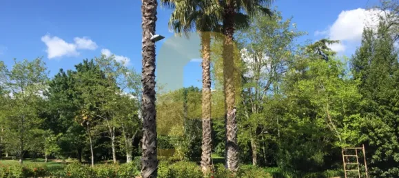 Замки и поместья с 8 спальнями в Элваш, Португалия № 103762 36