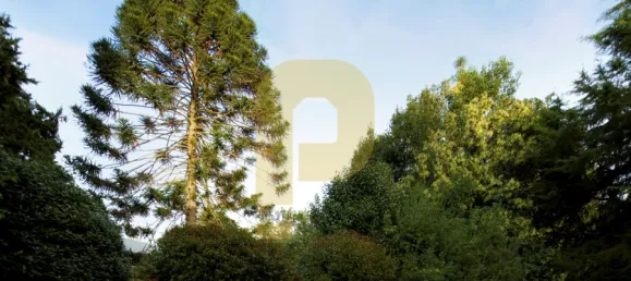 Замки и поместья с 8 спальнями в Элваш, Португалия № 103762 28