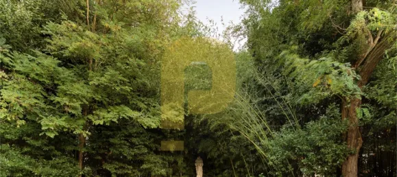 Замки и поместья с 8 спальнями в Элваш, Португалия № 103762 31