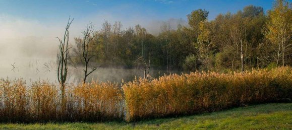 Terrain à Neusiedl am See, Austria 1120000m² No. 213775 5