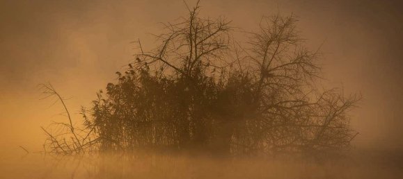 Terrain à Neusiedl am See, Austria 1120000m² No. 213775 7