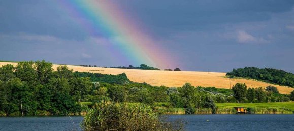 Terrain à Neusiedl am See, Austria 1120000m² No. 213775 2