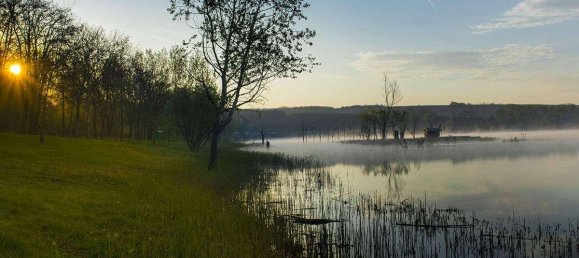 Terrain à Neusiedl am See, Austria 1120000m² No. 213775 3