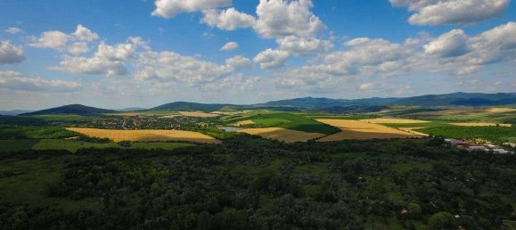 Terrain à Neusiedl am See, Austria 1120000m² No. 213775 6