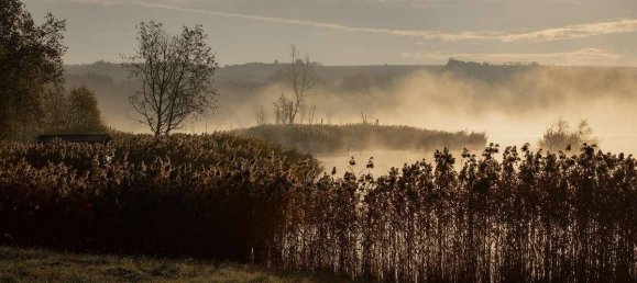 Terrain à Neusiedl am See, Austria 1120000m² No. 213775 4