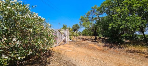 3 غرف نوم منزل في Silves, Portugal رقم 61530 11