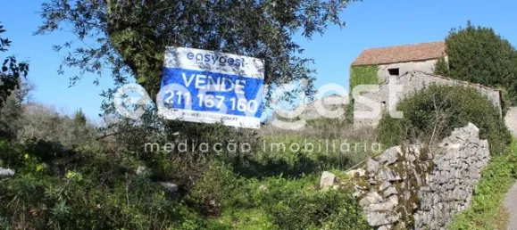 4 غرف نوم منزل في Ansiao, Portugal رقم 90303 61