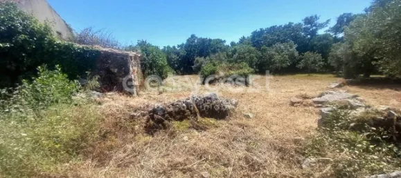 4 غرف نوم منزل في Ansiao, Portugal رقم 90303 27