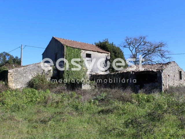 4 غرف نوم منزل في Ansiao, Portugal رقم 90303