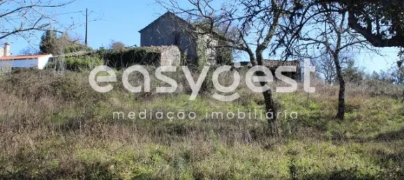 4 غرف نوم منزل في Ansiao, Portugal رقم 90303 58