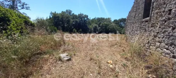 4 غرف نوم منزل في Ansiao, Portugal رقم 90303 46