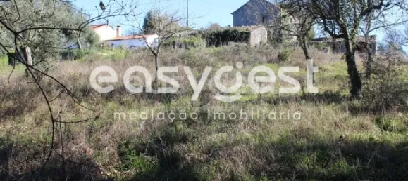 4 غرف نوم منزل في Ansiao, Portugal رقم 90303 60