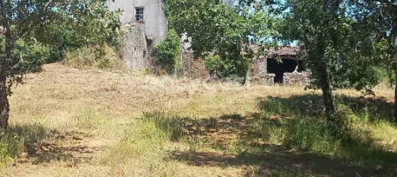 4 غرف نوم منزل في Ansiao, Portugal رقم 90303 40