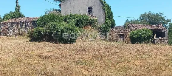 4 غرف نوم منزل في Ansiao, Portugal رقم 90303 42