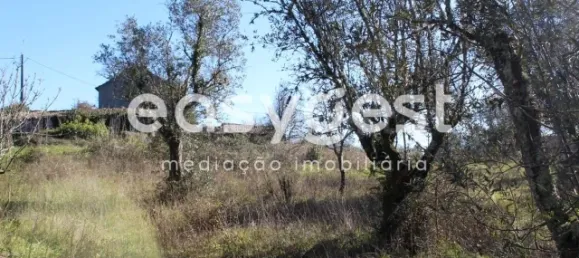 4 غرف نوم منزل في Ansiao, Portugal رقم 90303 63