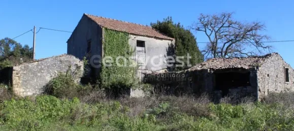 4 غرف نوم منزل في Ansiao, Portugal رقم 90303 66