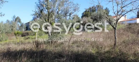 4 غرف نوم منزل في Ansiao, Portugal رقم 90303 59