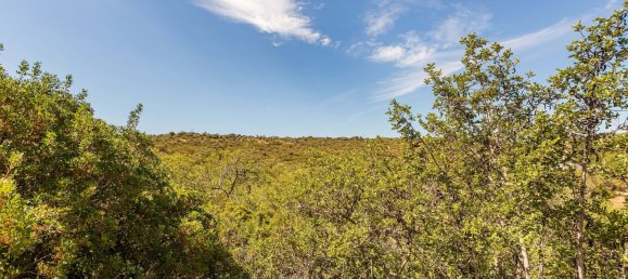 1 Schlafzimmer Grundstück in Tavira, Portugal, Nr. 334465 18
