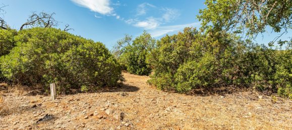 1 Schlafzimmer Grundstück in Tavira, Portugal, Nr. 334465 14