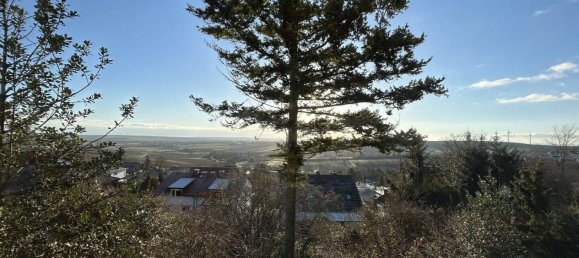 Дом с 4 спальнями в Майнц-Бинген, Германия № 234112 23