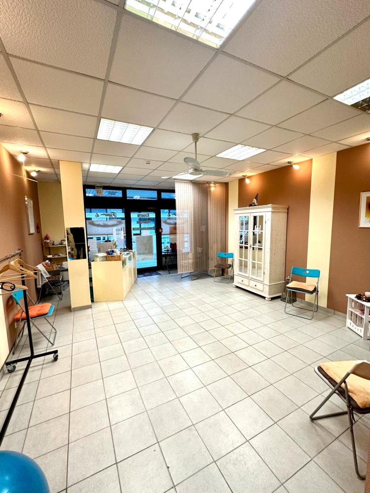 1-Zimmer Gewerbliche Immobilie in Main-Taunus, Germany, Nr. 260433