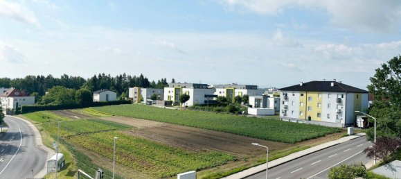 1 غرف نوم شقة في Leonding, Austria رقم 182320 9