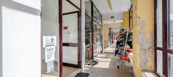 28m² Commercial property in Terras de Bouro, Portugal No. 100818 5