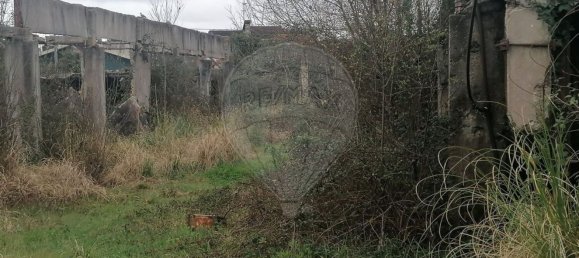 1552m² Warehouse in Pacos de Brandao, Portugal No. 90386 5