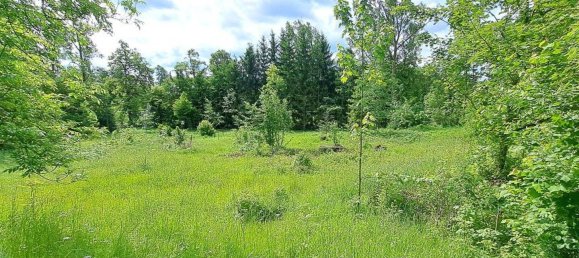  Land in Mittelsachsen, Germany No. 274298 12