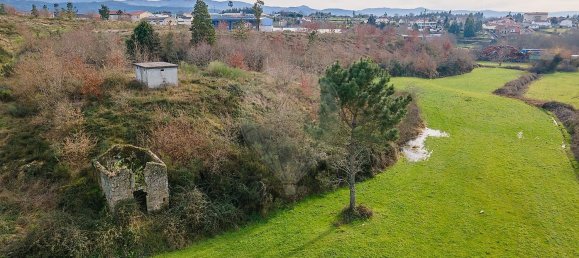 10 bedrooms House in Nogueira do Cravo, Portugal No. 166702 12