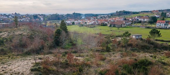 10 bedrooms House in Nogueira do Cravo, Portugal No. 166702 15