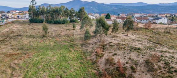 10 bedrooms House in Nogueira do Cravo, Portugal No. 166702 14