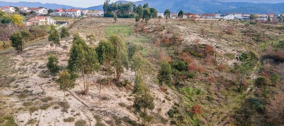 10 bedrooms House in Nogueira do Cravo, Portugal No. 166702 13