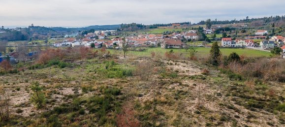 10 bedrooms House in Nogueira do Cravo, Portugal No. 166702 16