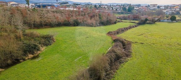 10 bedrooms House in Nogueira do Cravo, Portugal No. 166702 11