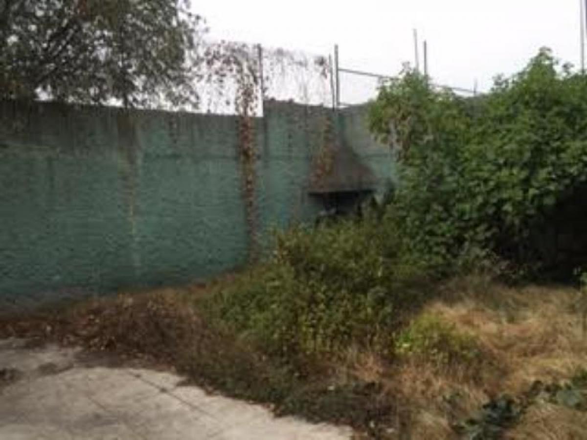 Дом с 3 спальнями в Сан Буэнавентура, Мексика № 208653