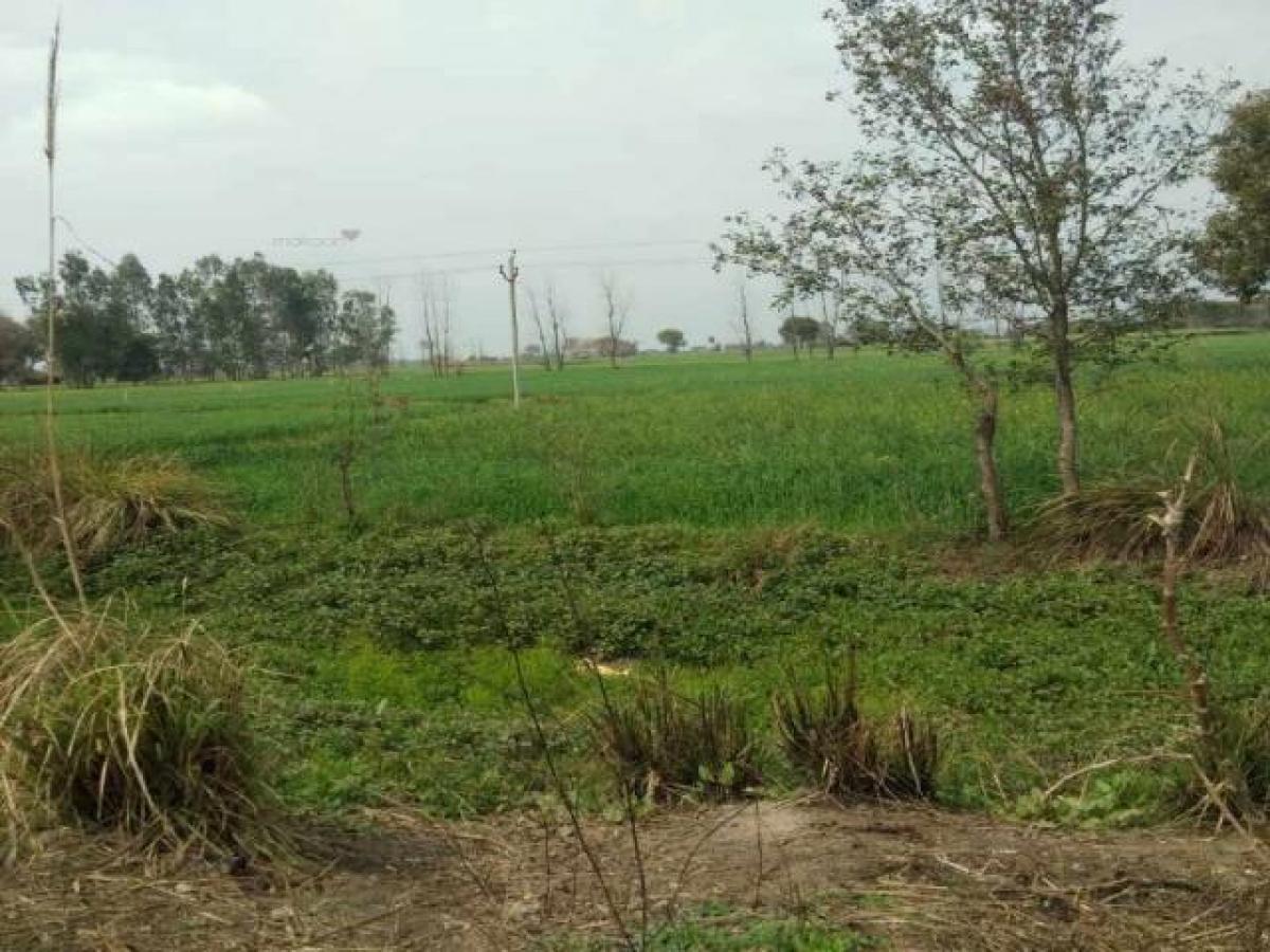  Land in Noida, India No. 65887