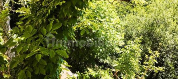 6 bedrooms Villa in Monghidoro, Italy No. 169424 18