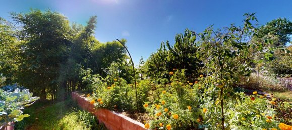 4 bedrooms House in Nerja, Spain No. 55560 7