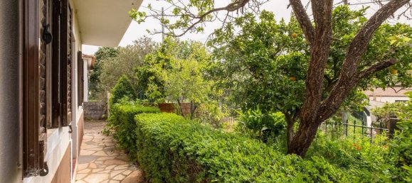 Casa de 4 dormitorios en Tomar, Portugal No. 23919 14