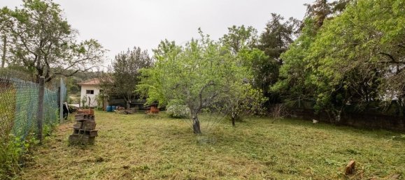 Casa de 4 dormitorios en Tomar, Portugal No. 23919 20
