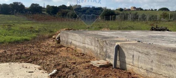 1غرفة قطعة أرض في Caltagirone, Italy رقم 72455 4