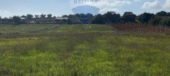 1غرفة قطعة أرض في Caltagirone, Italy رقم 72455 6