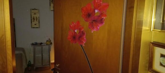 4 rooms Apartment in Altopascio, Italy No. 189309 9