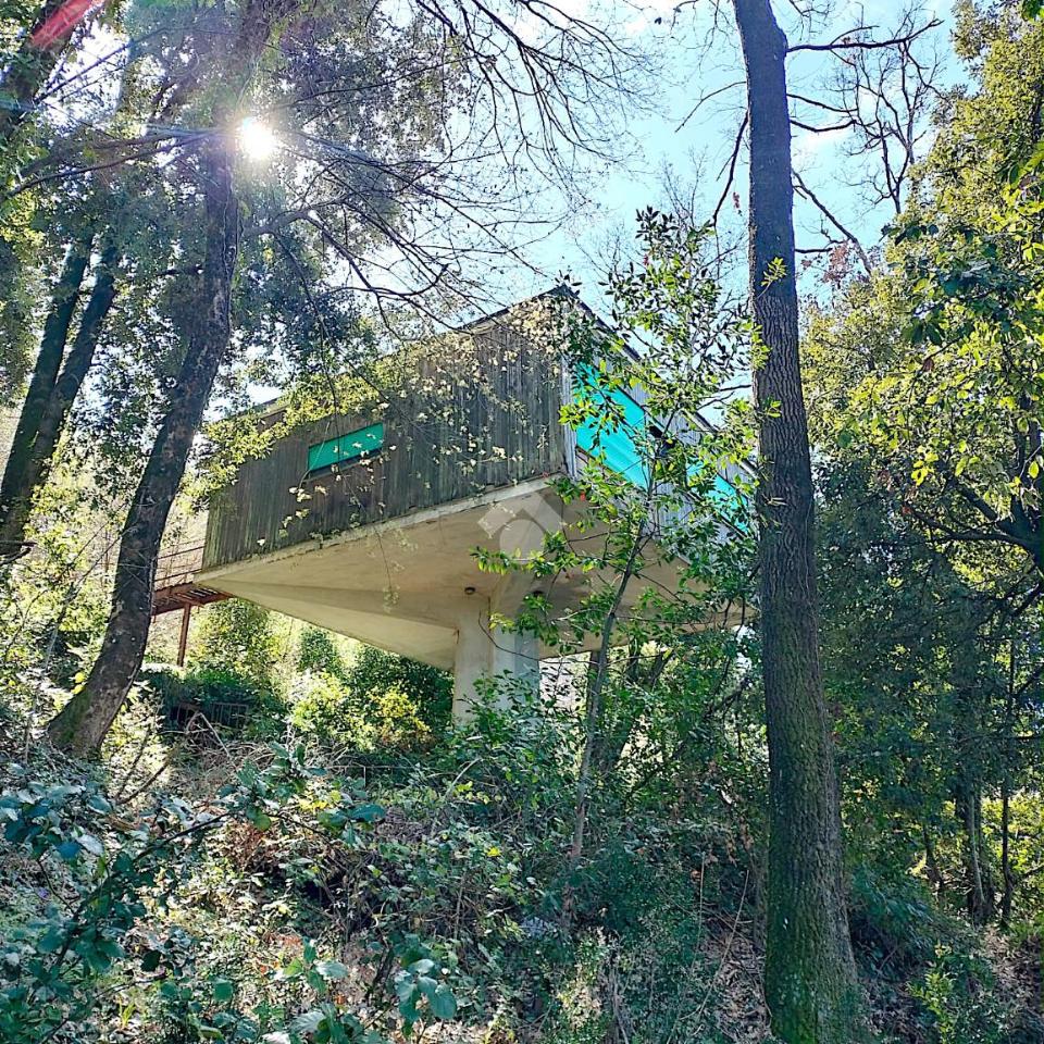 استوديو في Nemi, Italy رقم 14889