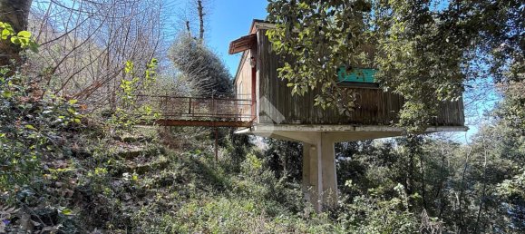 استوديو في Nemi, Italy رقم 14889 10