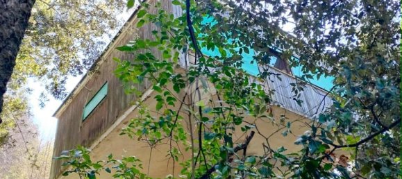 استوديو في Nemi, Italy رقم 14889 2