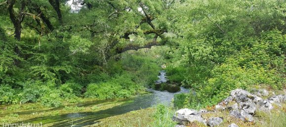 Casa de 2 dormitorios en Ansiao, Portugal No. 32990 6