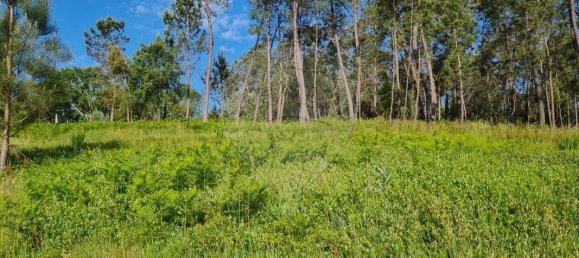 Casa de 2 dormitorios en Ansiao, Portugal No. 32990 5